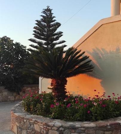 Small Patak House Psalidi  Exterior foto